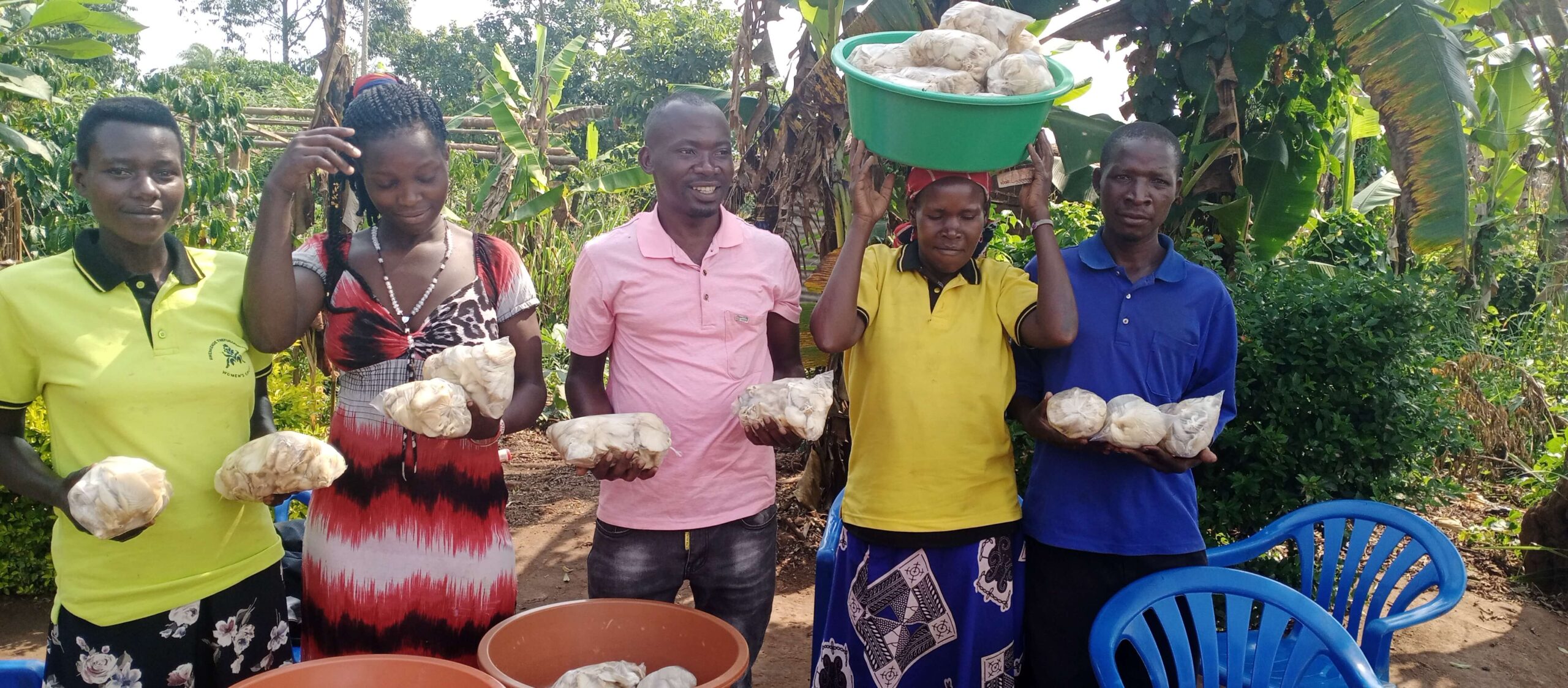 Mushroom Growing Turns A Success Of Lives For People Evicted From Kagombe Central Forest Reserve